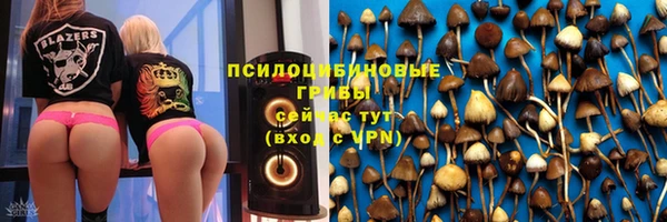 jwh Алзамай